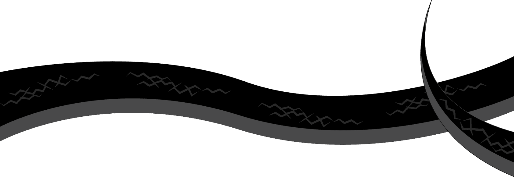 ilustración del cuerpo de una serpiente mamba negra horizontal
